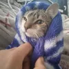 Bluecandle