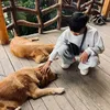 ankhang_126208