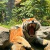 naushad.naushad69