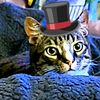 shadowhow2