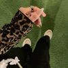 ﮼مرت ﮼عبدو 💍❤️