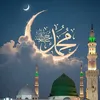 umairalik6
