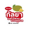 กัลยาผลไม้สวนตามฤดูกาล