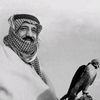 ra_ak15