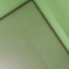 raisy691