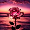 tiff.rose11