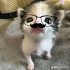 người rồi cx chia tay th ☺️
