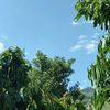 sandy.carlos7