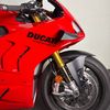 ducati_hottie