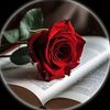 mubeenfatima363