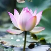 ton.nguy58