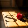 biyaa_choudary05