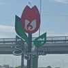 zhadyram_91