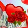 user12541660839517