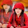 lalaywazir66