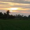 irfanajya