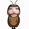 oab.neyuq