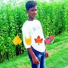 masum.sordhar3