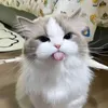 yourhenzo_3