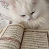 noura_34457