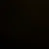 fan.von.eilish.bi