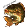 rpbaitsupplies