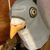 unemployed_pigeon