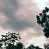 zzvx_22