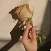 lujainsuhaib0