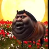 ciao_mbare_sono_lupa