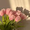 maramwael27