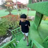 vanphidz