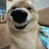 anhdudepz