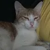 nico_robinnnnnnnnnnnn