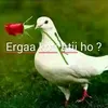 oromiyaa.ko19