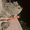 muzammilabbasi7867