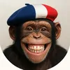 IA made in France