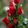 user1660010315814