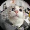 nan_8712