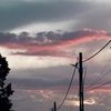 andreea_deea34560