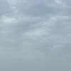 ydkirina