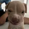 nehuen_rd