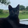 pawprintpassport
