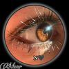 narges04669