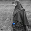 salmoh63