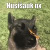 da_widas1