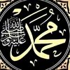 sherkhan552555