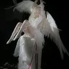 pdpdpkrtywn