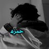 alshami._.2