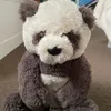bear13310